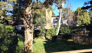 WhatsApp Image 2025-07-18 at 17.08.58.jpeg